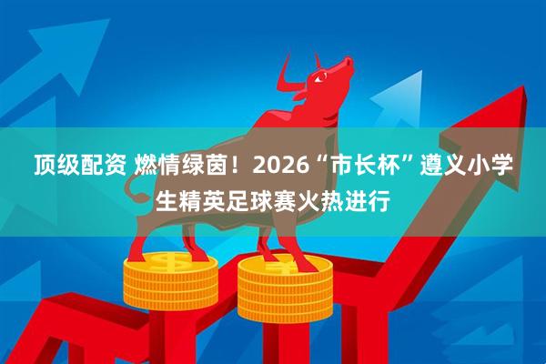 顶级配资 燃情绿茵！2026“市长杯”遵义小学生精英足球赛火热进行