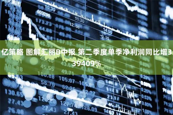 亿策略 图解汇丽B中报 第二季度单季净利润同比增339409%