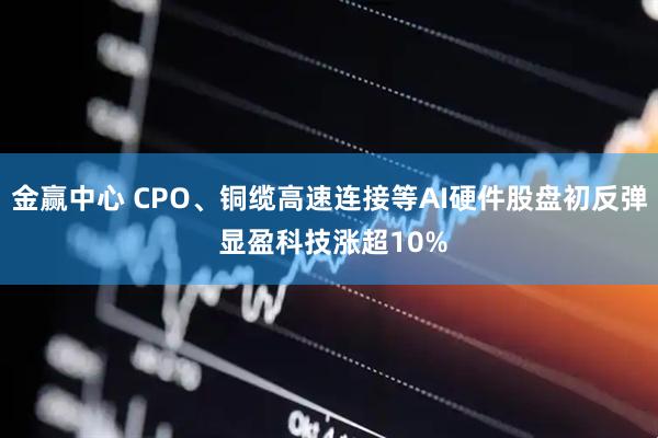 金赢中心 CPO、铜缆高速连接等AI硬件股盘初反弹 显盈科技涨超10%