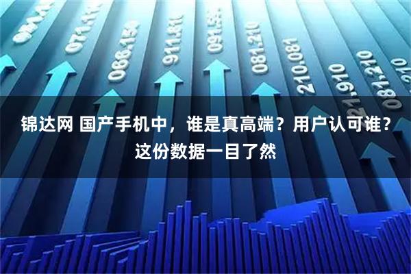 锦达网 国产手机中,谁是真高端?用户认可谁?这份数据一目了然